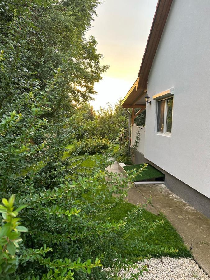 Kisvirag Vendeghaz Villa Balatonvilágos Exterior foto