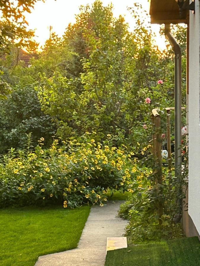 Kisvirag Vendeghaz Villa Balatonvilágos Exterior foto