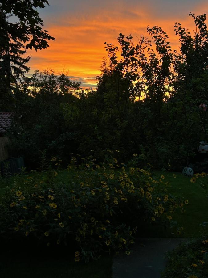 Kisvirag Vendeghaz Villa Balatonvilágos Exterior foto